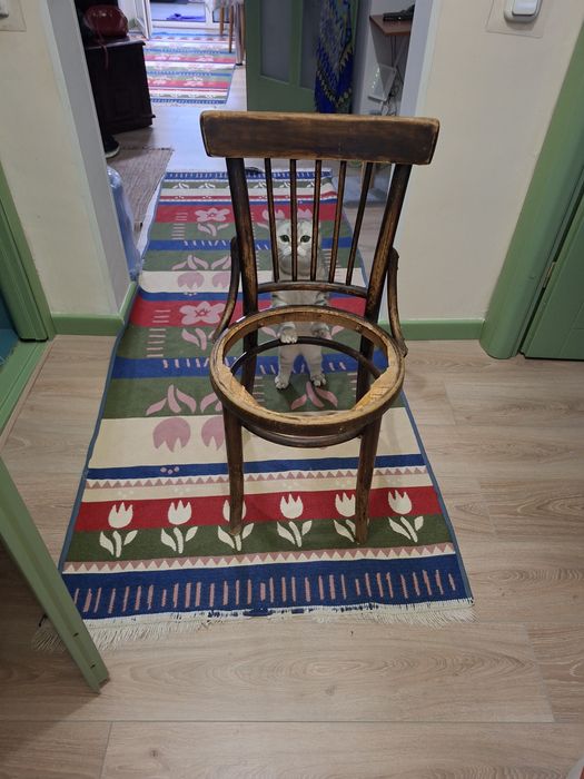 Венский стул под реставрацию