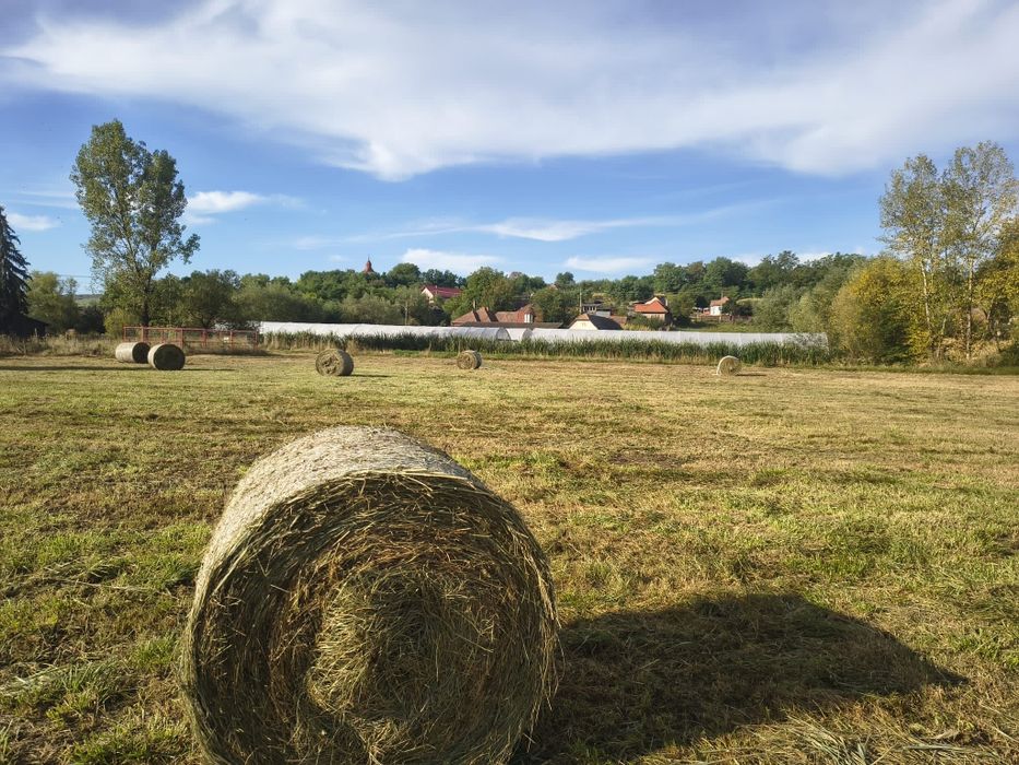 Vând  fân și otavă