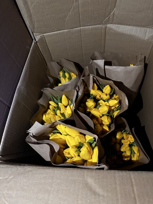 Тюльпаны оптом и в розницу