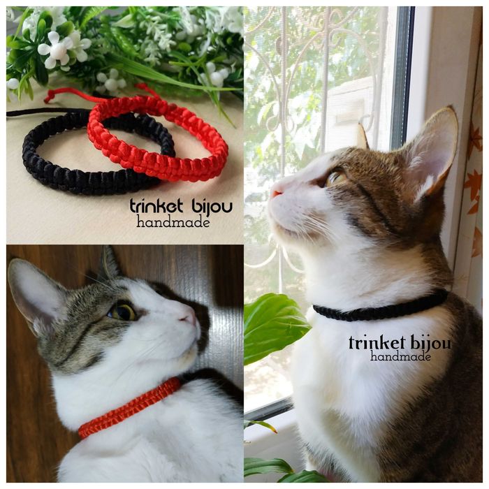 Ошейник для вашего питомца