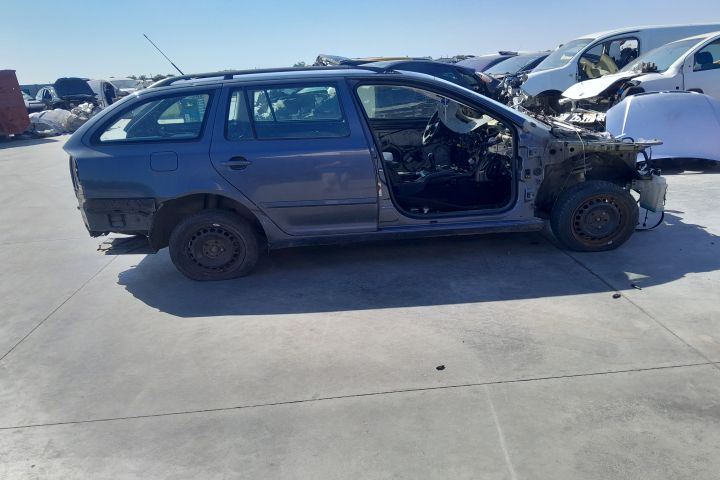 SET AMORTIZOARE SPATE Skoda Octavia a 2-a generatie (facelift)