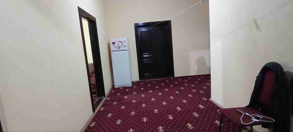 Kotej tez va arzon sotiladi