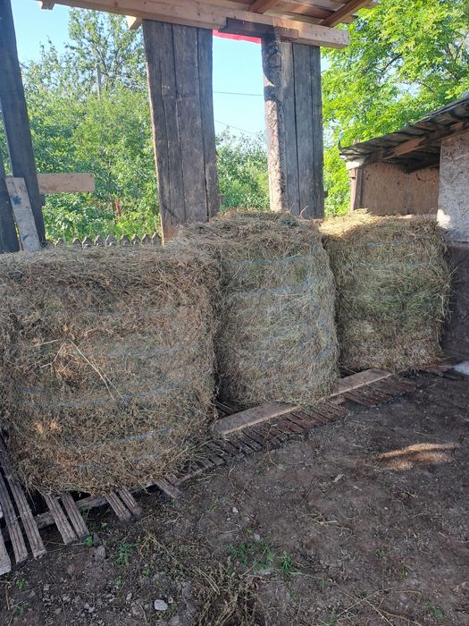 Baloti de fan ,coceni si paie