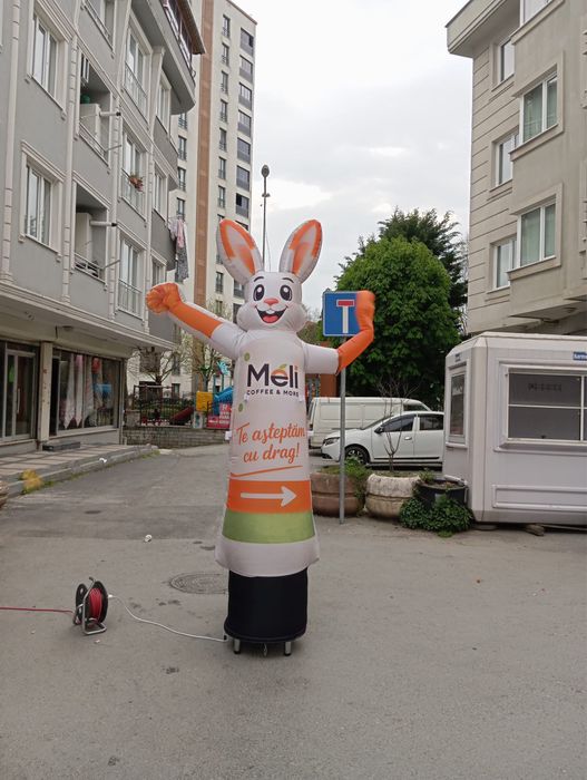 Dancer Baloane - Baloane Publicitare Personalizate