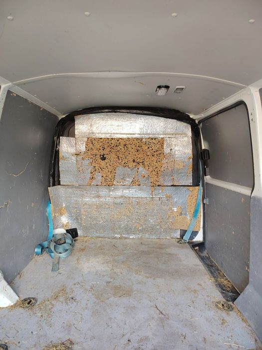 Oferta bună wv transporter