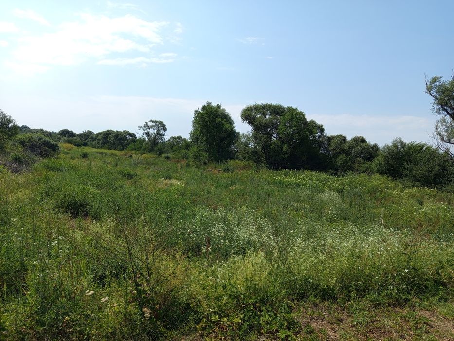 Продава се Земеделски имот в Попово -  кв.м за 3400 €/дка - Снимка #6