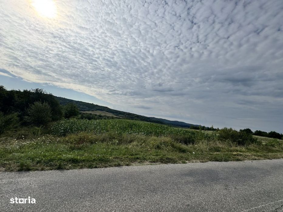 Teren 15.000 mp Draghici – Ideal Fotovoltaice, Investitii si Agrobus