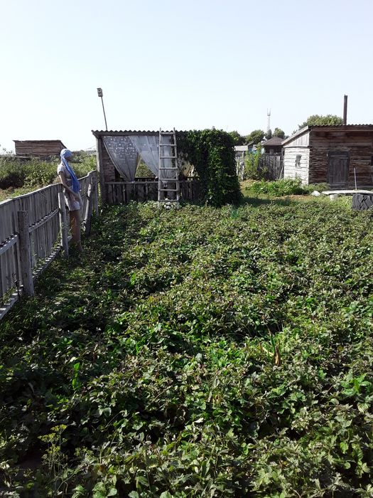 Продается дом в с. Канонерка.