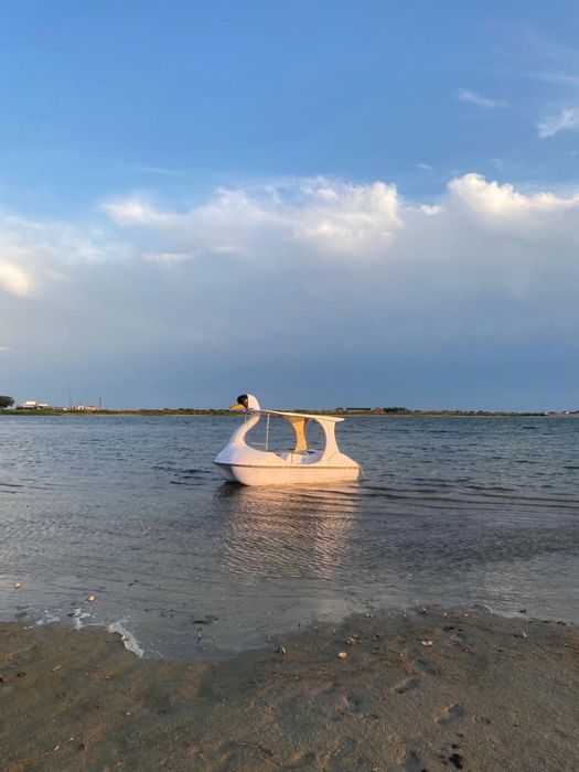 катамаран электрический