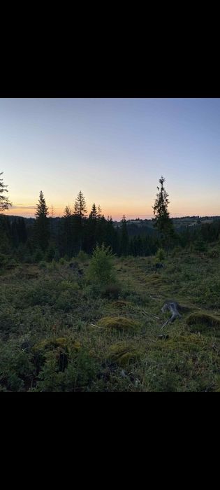 teren la munte 1000mp