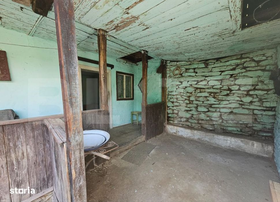 Casa traditionala - o investitie cu potential de dezvoltare, Capalna,