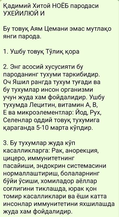 УХЕЙИЛЮЙ товугининг табиий кук тухумлари
УХЕЙИЛЮЙ И
УХЕЙИЛЮЙ И
