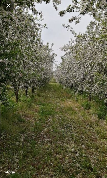 De Vânzare Casă Valea Vinului