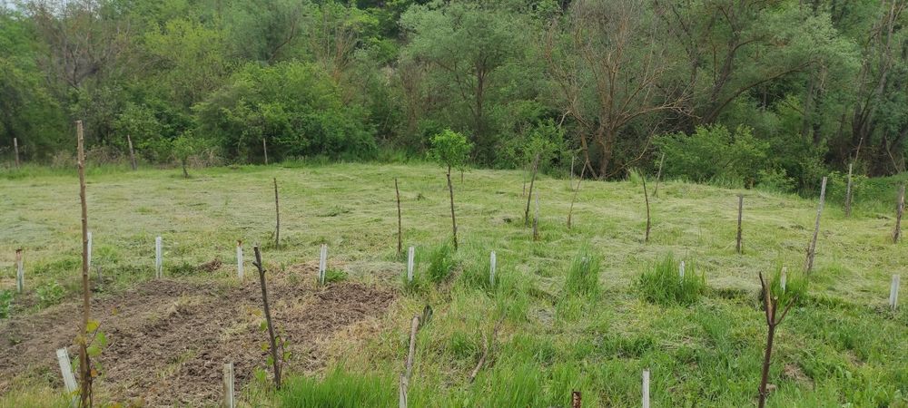 Предлагам косене на трева с бензинова косачка