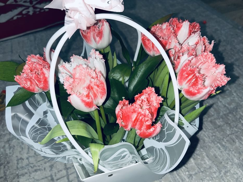 Тюльпан 6000-тг.( Тюльпан на 6000 тг)