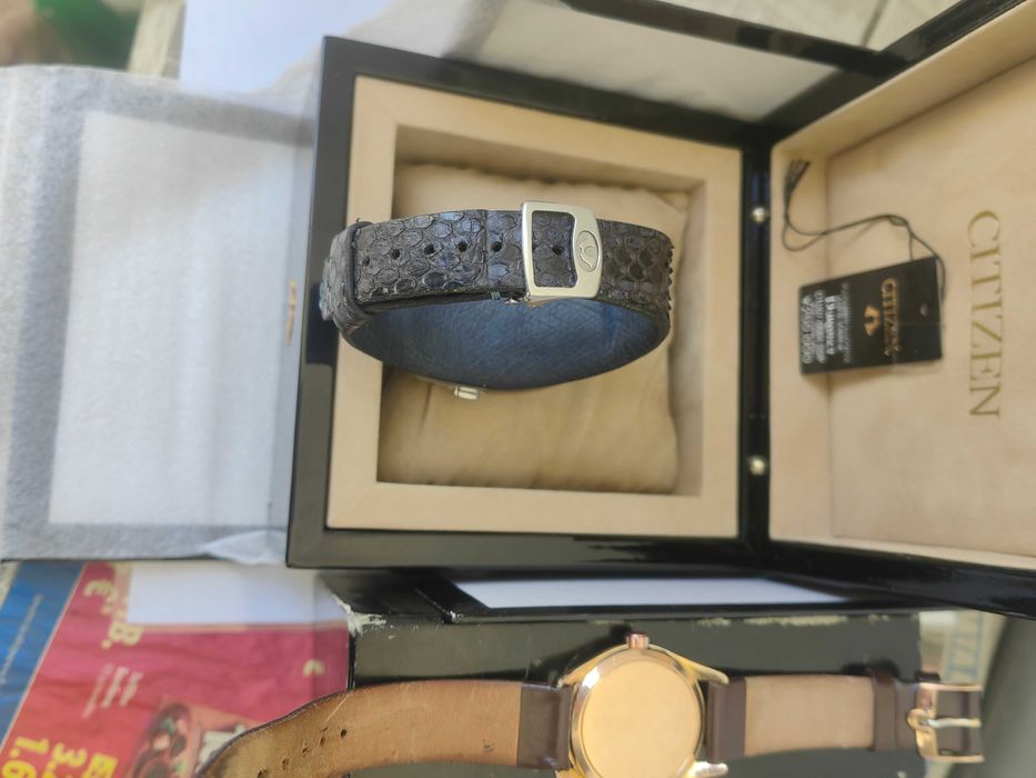 Citizen Campanola omega