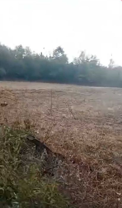 Парцел за вила в