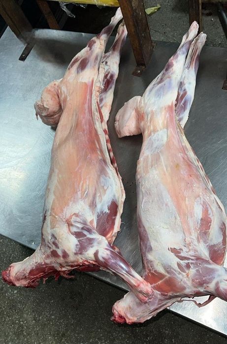 Монголиядан келтирилиган ҳалол ва сифатли гўштлар сотамиз.