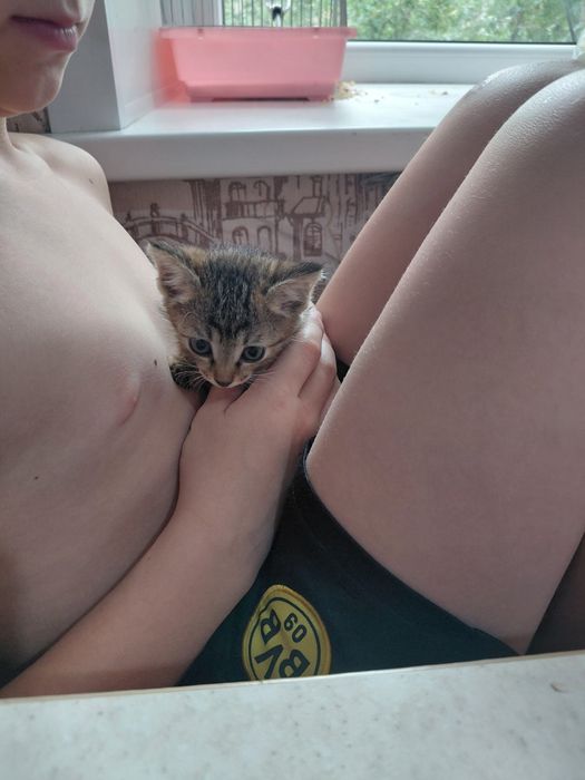 Котёнок в добрые руки