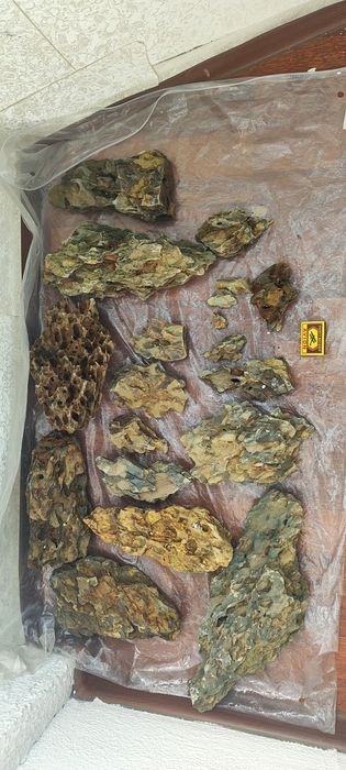 Драконий камень для аквариума