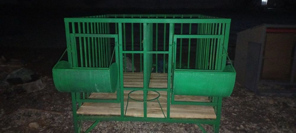 Qoy kataklar 2 talik