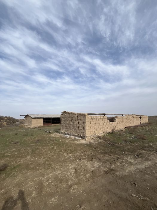 Шорнак Сауран поля