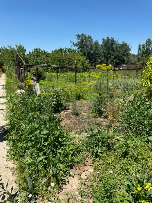 Продам участок 26.9 соток Урта-Чирчикский район