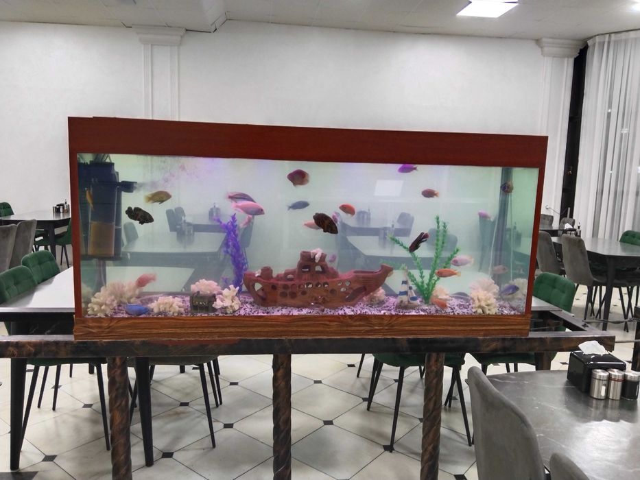 Профессиональная чистка аквариума AQUALlFE