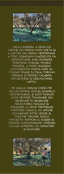 Ulei de masline extravirgin grecia cules personal