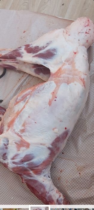 Молодая баранина