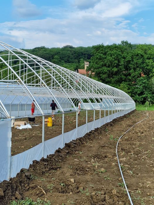 Solarii Legume (aerisiri laterale)