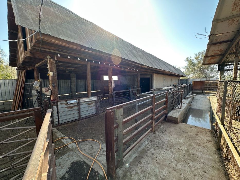 Фермерское хозяйство