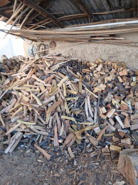 Утин сотилади  мевали ва мевасиз копланган холда хам бор