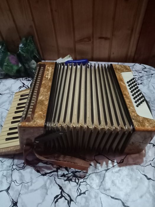 Acordeon Timiș - Select din anii '70
