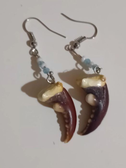 Обици от морски щипки и стъклени синци