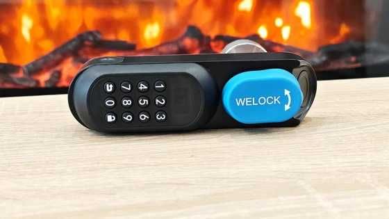 WELOCK U81 siguranta casei tale