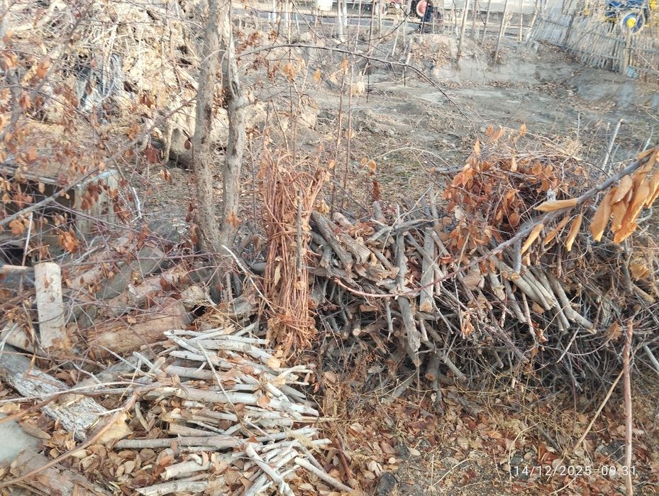 Quruq Tarosha sotiladi