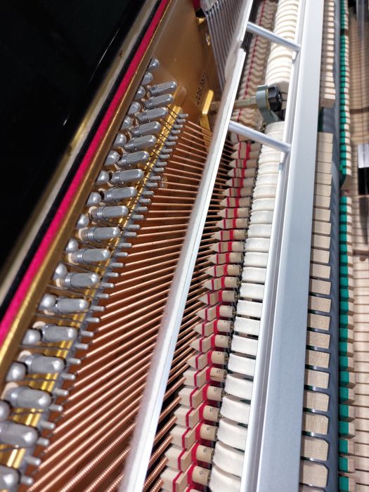 Pianina Astor ( transport gratuit  & garantie)