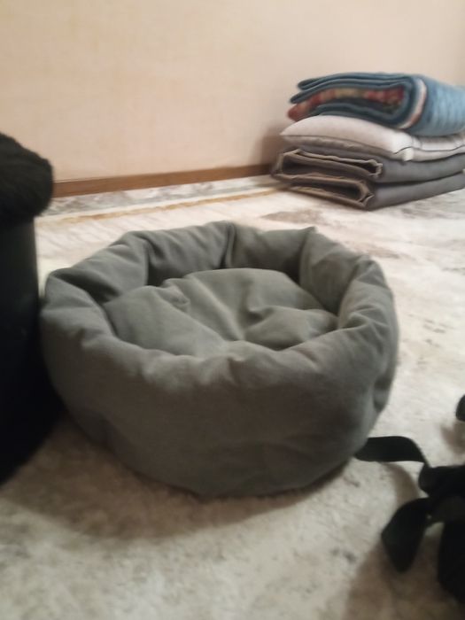 Продом все для кошек