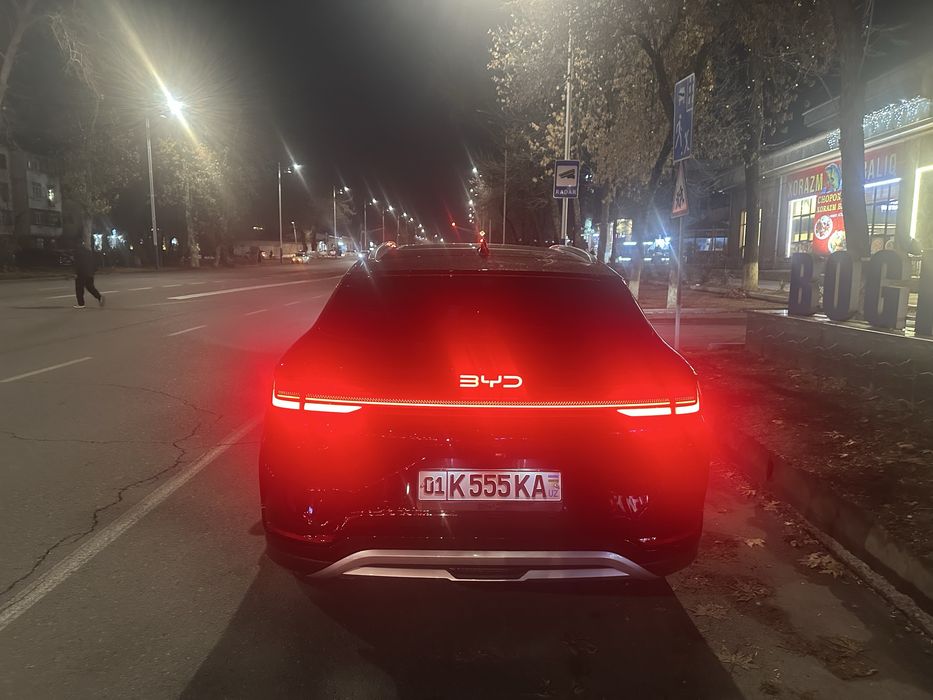 Byd champion smart drive 605 km