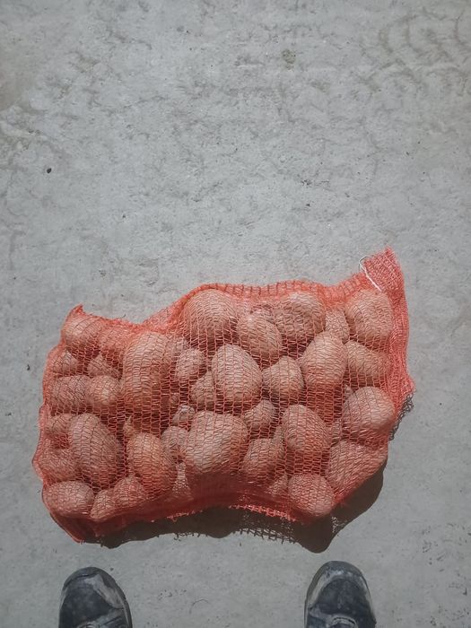 Cartofi consum la 10 kg, de nisip