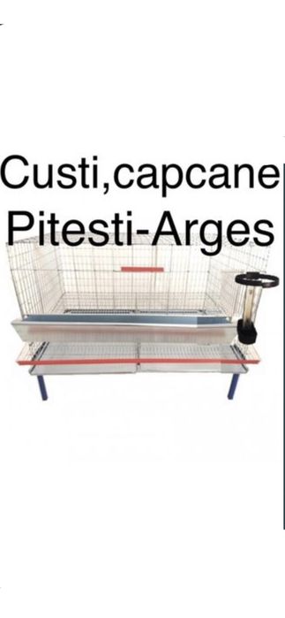 Prepelite oua pui custi maternități capcane