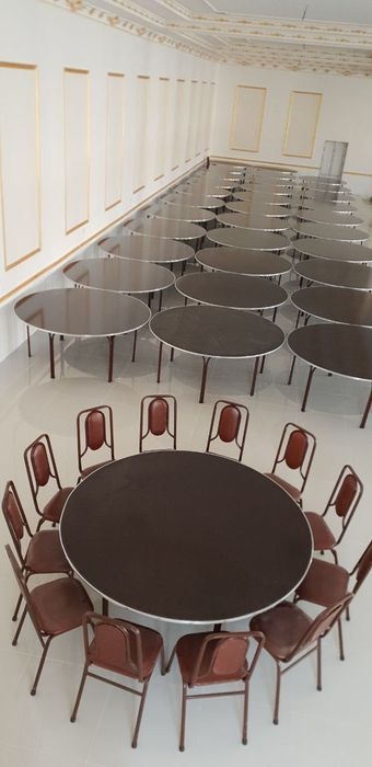 Optim stol sullar olami