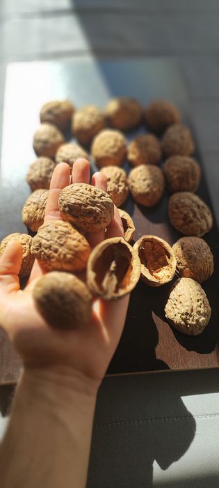 Черупка от едър орех за Handmade декорации