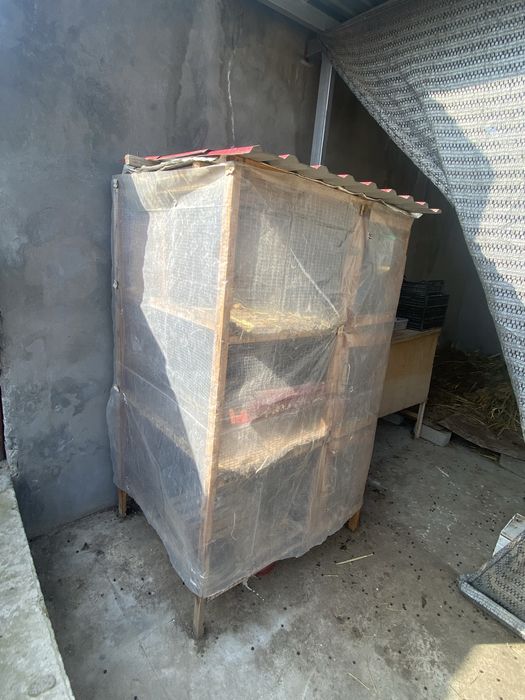 Tovuq quyon uchun in