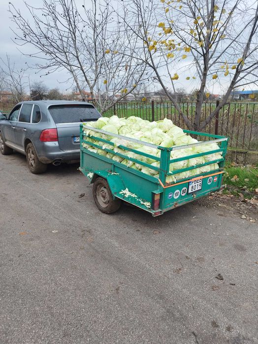 Продавам кисело зеле кьосе