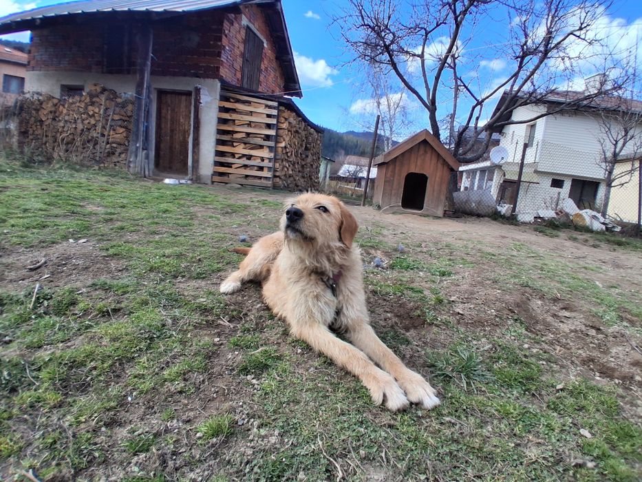 Ловджийски барак