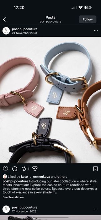 Кожена каишка и повод за пудел в розов и кафяв цвят