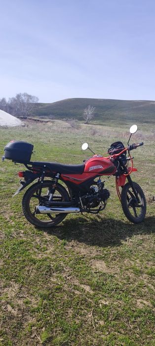Racer Alpha 50CC-110