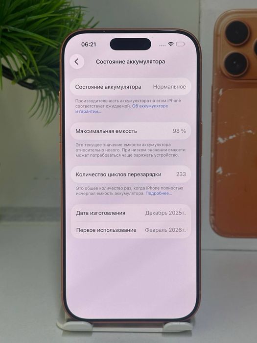 iPhone 17 Pro  / nano-Sim  13